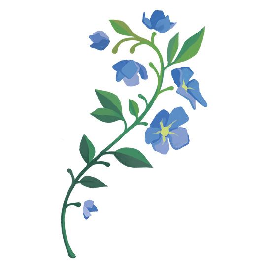 Dainty vine clipping with small blue flowers and green leaves.