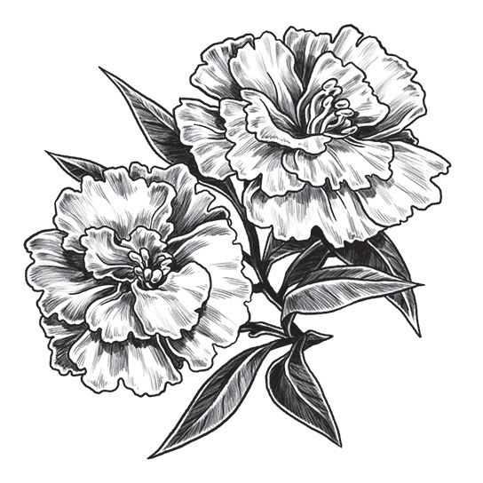 Carnation Temporary Tattoo