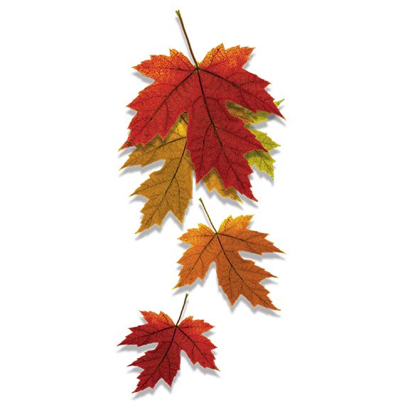 Fall Leaves Temporary Tattoo