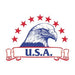 Eagle head with 10 stars arched over the top and a banner below that says U.S.A. temporary tattoo
