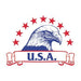 Eagle head with 10 stars arched over the top and a banner below that says U.S.A. temporary tattoo