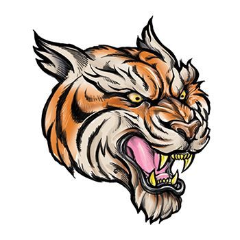 Tiger illustration with mouth open showing fangs looking ferocious. 