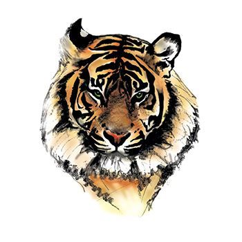 Illustration of a tiger head temporary tattoo.