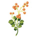 Branch with small green leaves and lots of red berries on the top branches temporary tattoo