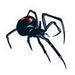 Black widow spider with red hourglass shape on back; temporary tattoo. 