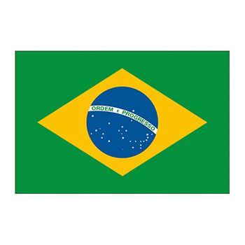 Flag of Brazil, green with yellow diamond in the middle, inside of that the Earth; temporary tattoo. 