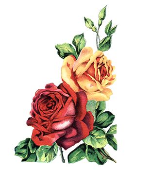 Colored Roses Temporary Tattoo