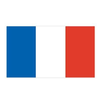 French flag; blue, white, and red vertical bars; temporary tattoo. 