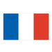 French flag; blue, white, and red vertical bars; temporary tattoo. 