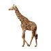 Walking giraffe; temporary tattoo. 