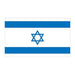 Flag of Israel with a star of David in the center temporary tattoo. 