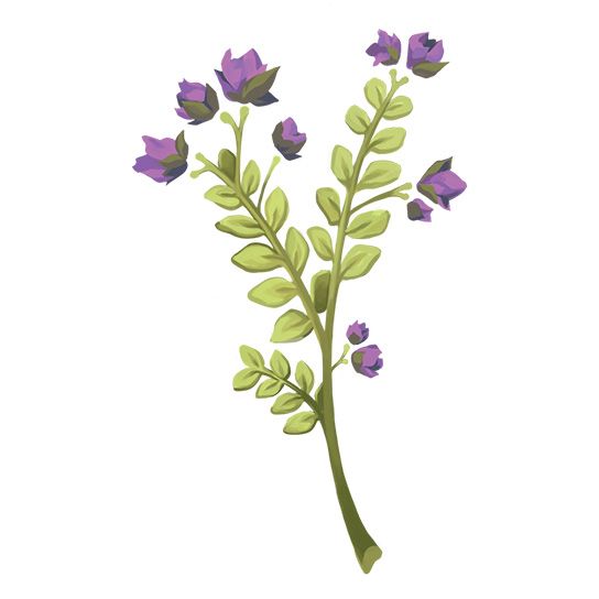 Plant stem with green leaves and lavender flowers on top; temporary tattoos. 
