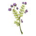 Plant stem with green leaves and lavender flowers on top; temporary tattoos. 