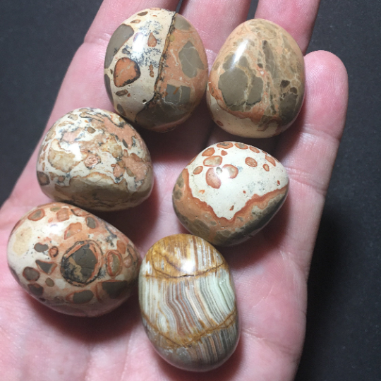 Leopardite Jasper Tumbles