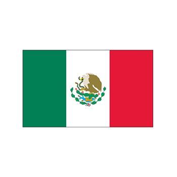 Mexico flag, green, white, and red vertical bars with en emblem in the center; temporary tattoo. 