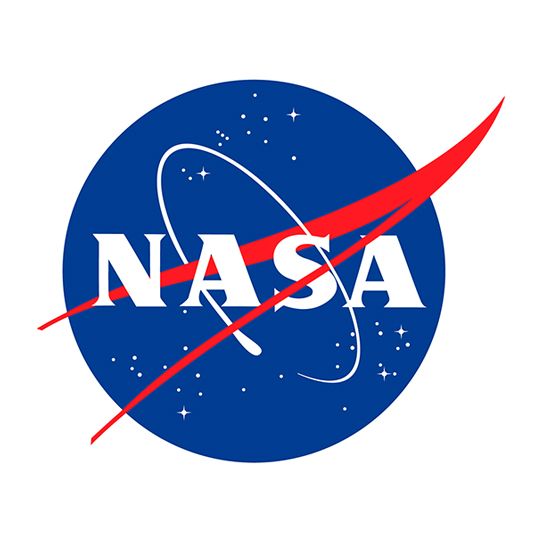 NASA Badge Temporary Tattoo