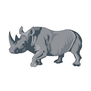 Rhinoceros Temporary Tattoo