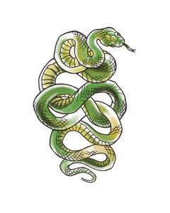 Green Snake Temporary Tattoo
