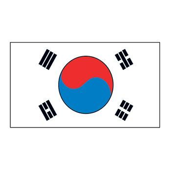 South Korea Flag Temporary Tattoo