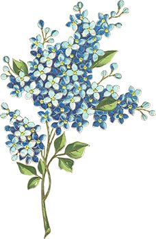 Tiny Blue Flowers Temporary Tattoo
