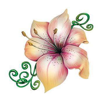 White and Pink Lily Flower Temporary Tattoo