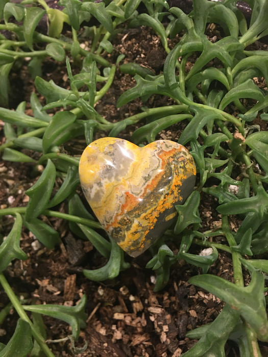 Bumblebee Jasper Heart Rock